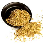 Yellow Mustard Seeds Manufacturer